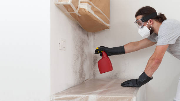 Professional Bathroom Mold Removal technician working in Zebulon, NC