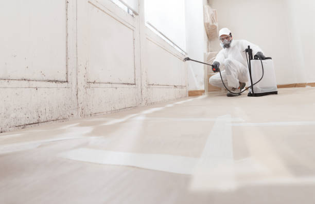 24/7 Emergency Bathroom Mold Removal experts in Zebulon, NC